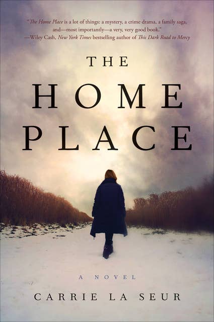 The Home Place: A Novel