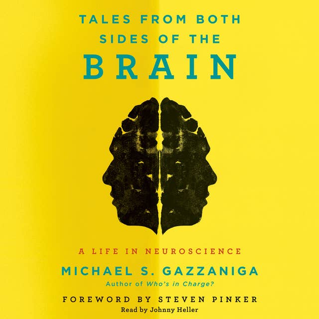 Tales from Both Sides of the Brain