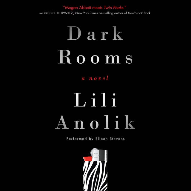 Dark Rooms: A Novel