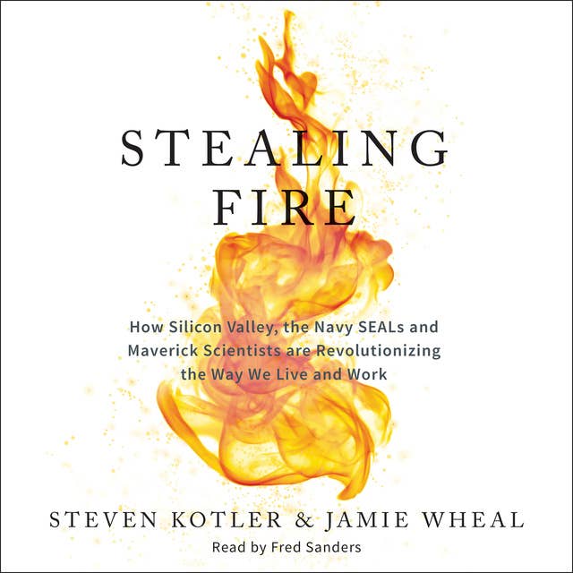 Cover for Stealing Fire: How Silicon Valley, the Navy SEALs, and Maverick Scientists Are Revolutionizing the Way We Live and Work