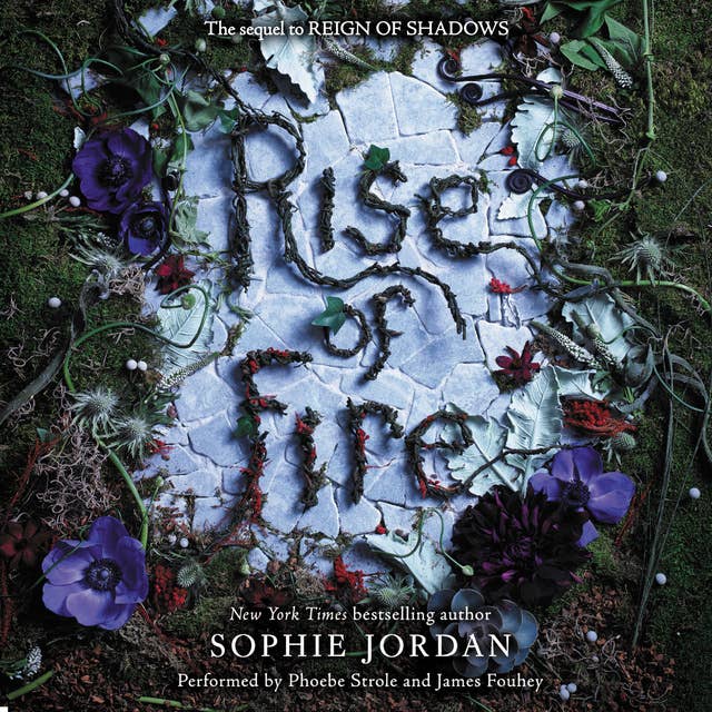 Cover for Rise of Fire