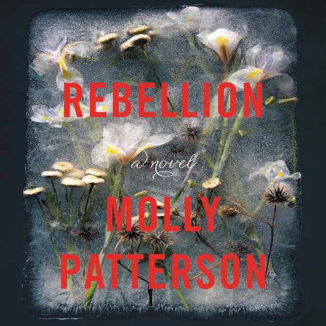Rebellion: A Novel