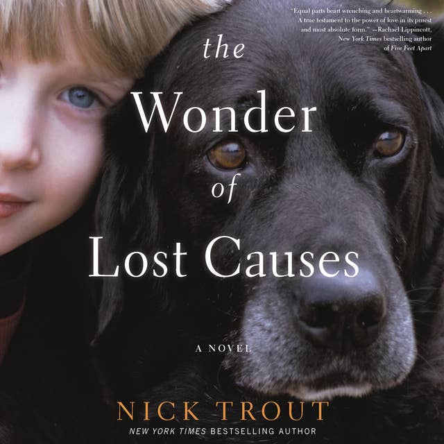The Wonder of Lost Causes: A Novel