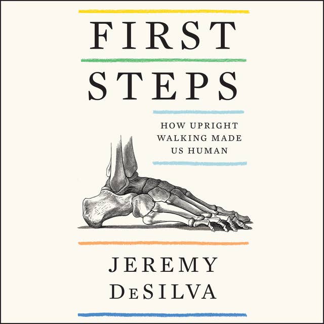 Cover for First Steps: How Upright Walking Made Us Human