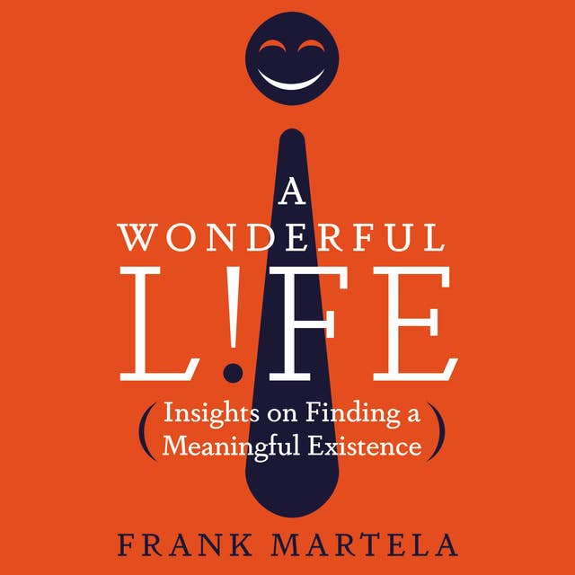 Cover for A Wonderful Life: Insights on Finding a Meaningful Existence