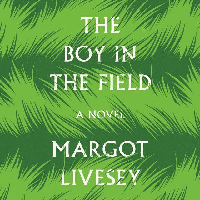 The Boy in the Field: A Novel