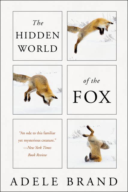 Cover for The Hidden World of the Fox