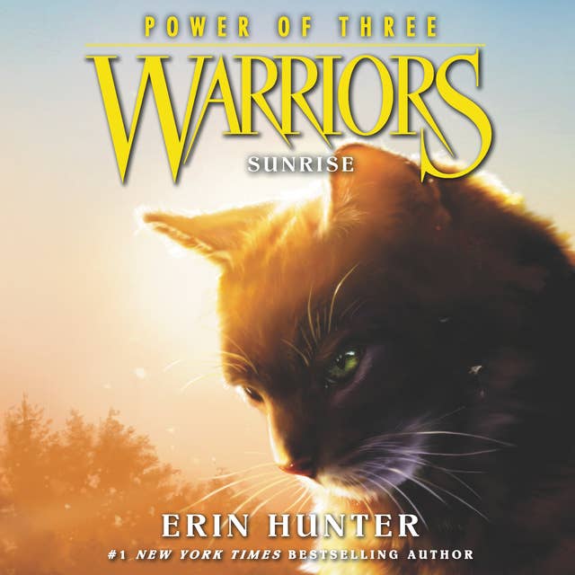Warriors: Power of Three #6 – Sunrise