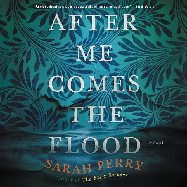 After Me Comes the Flood: A Novel