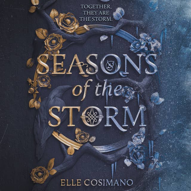 Cover for Seasons of the Storm