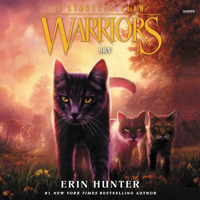 Warriors: The Broken Code #1: Lost Stars eBook by Erin Hunter - EPUB Book