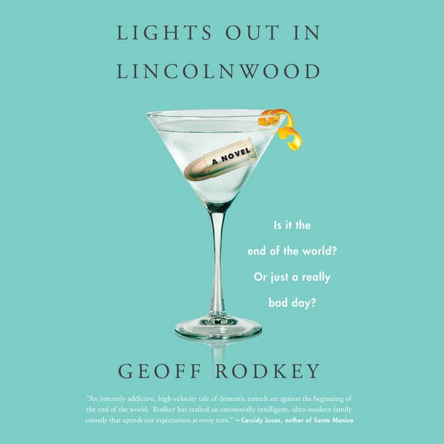 Lights out in Lincolnwood: A Novel