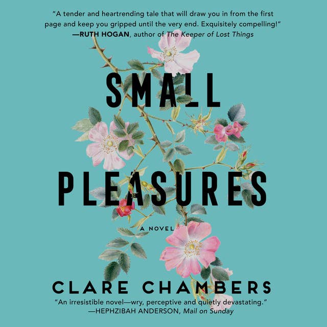 Small Pleasures: A Novel by Clare Chambers