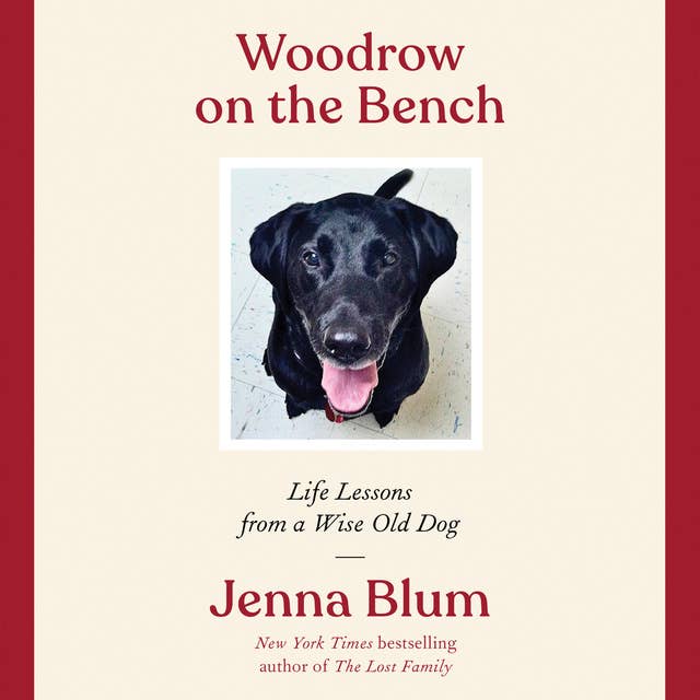 Woodrow on the Bench: Life Lessons from a Wise Old Dog