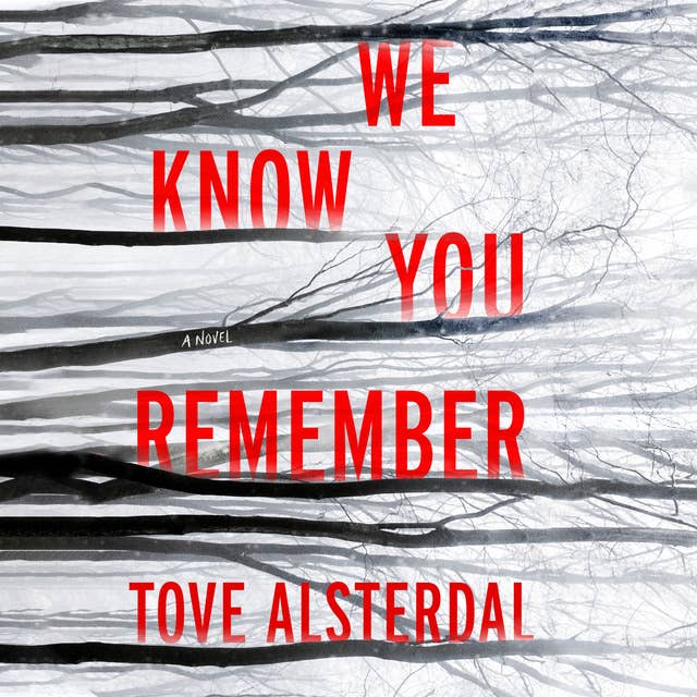 We Know You Remember: A Novel