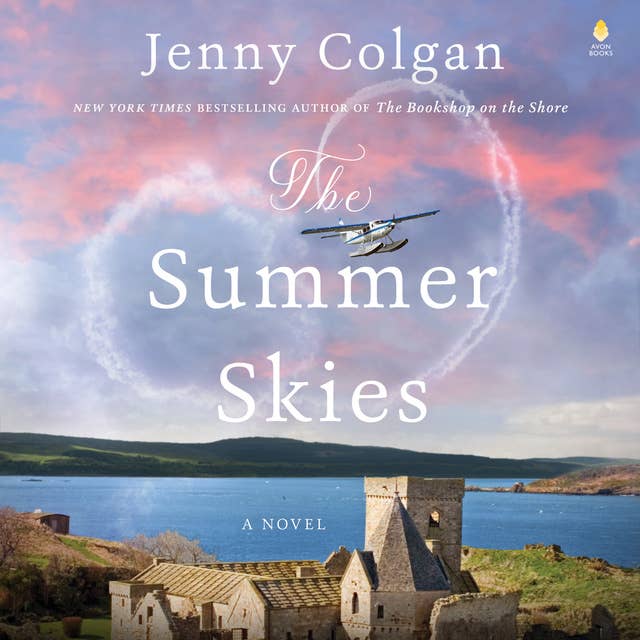 Cover for The Summer Skies: A Novel