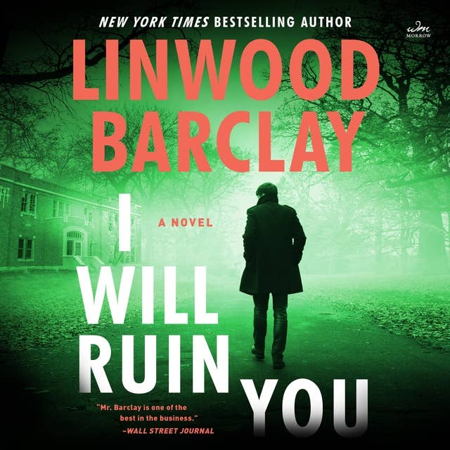 I Will Ruin You: A Novel
