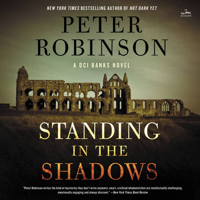 Standing in the Shadows: A Novel