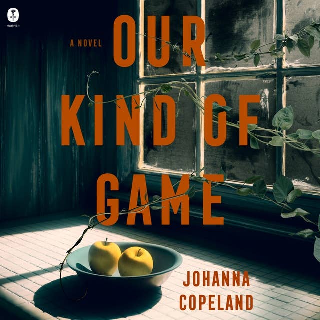 Our Kind of Game: A Novel