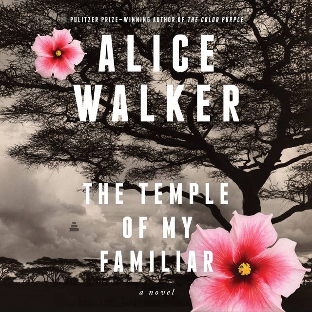The Temple of My Familiar: A Novel