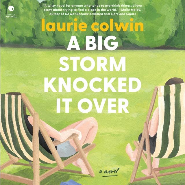 A Big Storm Knocked It Over: A Novel