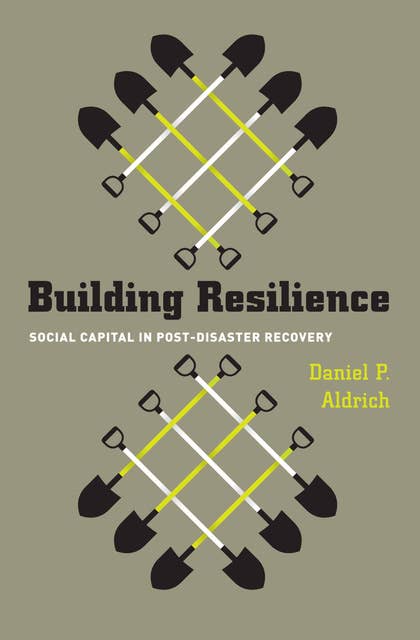 Building Resilience: Social Capital in Post-Disaster Recovery