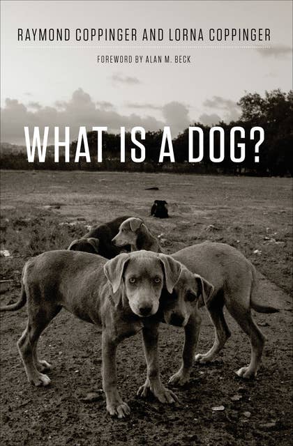 Cover for What Is a Dog?