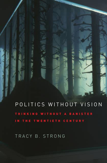 Politics without Vision: Thinking without a Banister in the Twentieth Century
