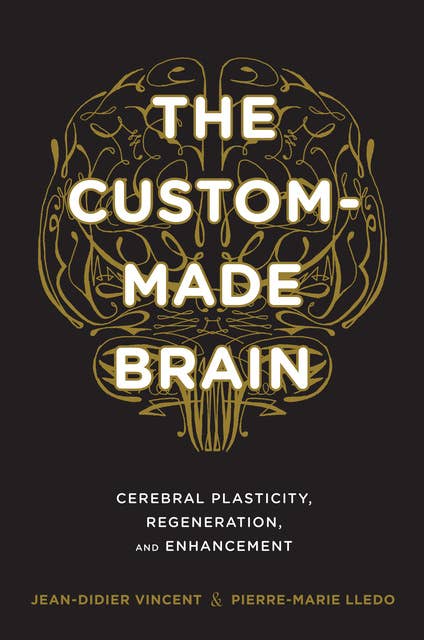 The Custom-Made Brain : Cerebral Plasticity, Regeneration and Enhancement: Cerebral Plasticity, Regeneration, and Enhancement