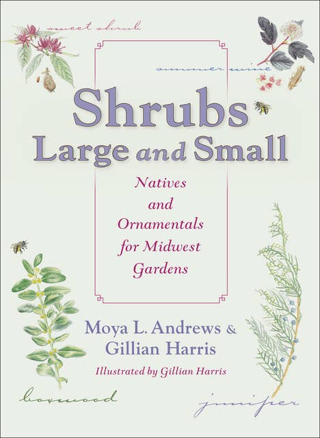 Shrubs Large and Small: Natives and Ornamentals for Midwest Gardens