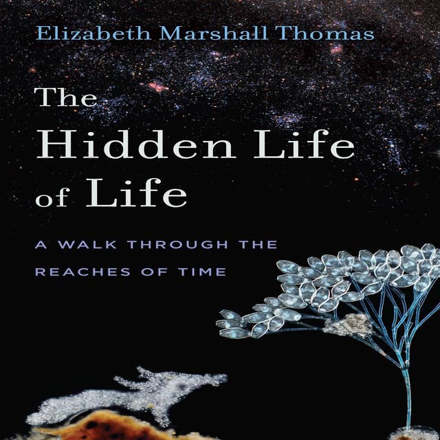 The Hidden Life of Life: A Walk through the Reaches of Time