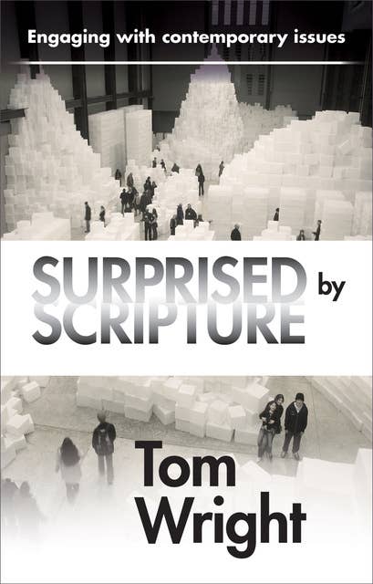 Surprised by Scripture: Engaging with contemporary issues
