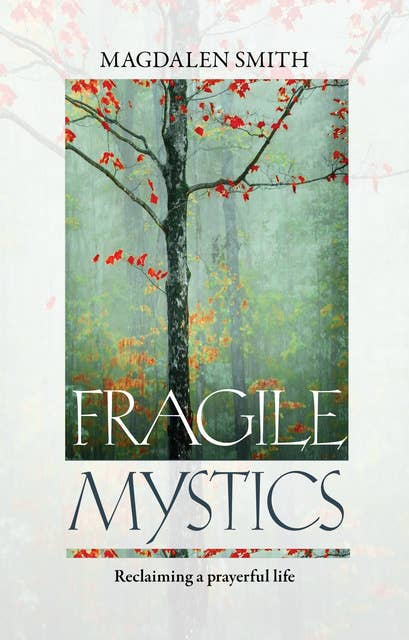 Fragile Mystics: Reclaiming a Prayerful Life