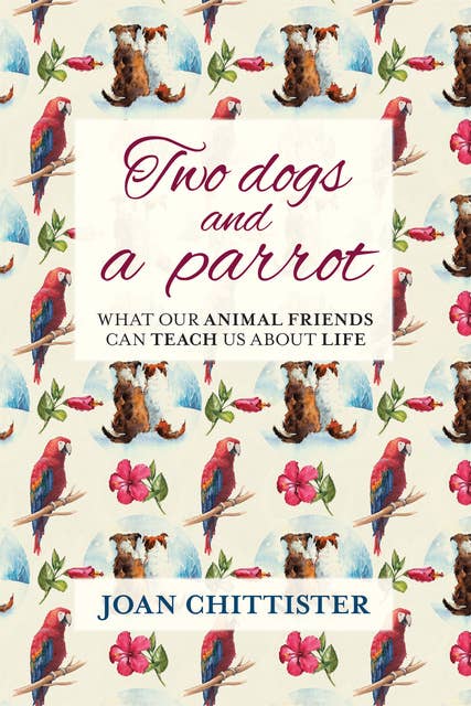 Two Dogs and a Parrot: What our animal friends can teach us about life