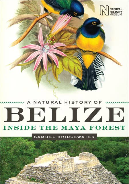 Cover for A Natural History of Belize: Inside the Maya Forest