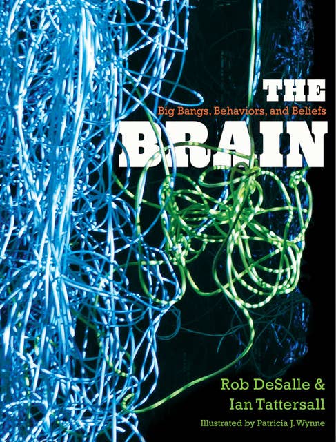 The Brain : Big Bangs, Behaviors and Beliefs: Big Bangs, Behaviors, and Beliefs