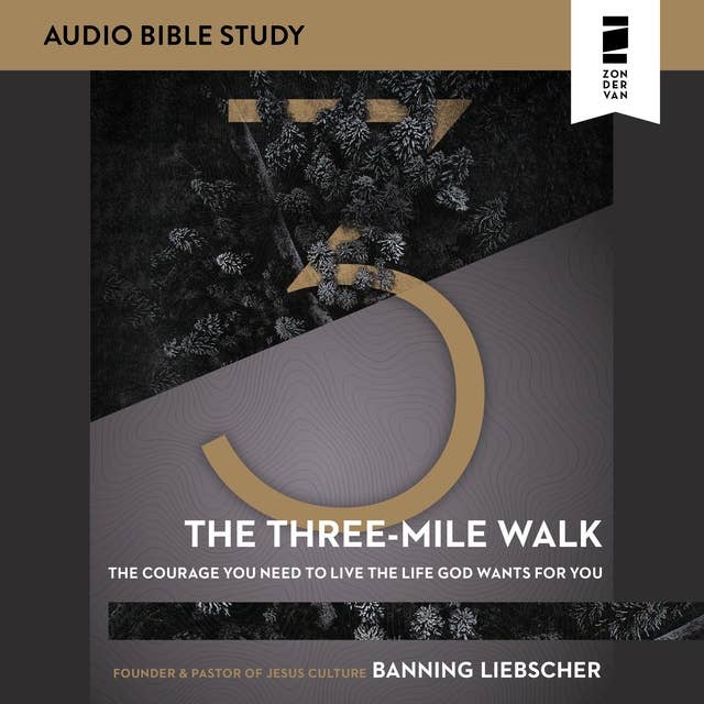 The Three-Mile Walk: Audio Bible Studies: The Courage You Need to Live the Life God Wants for You