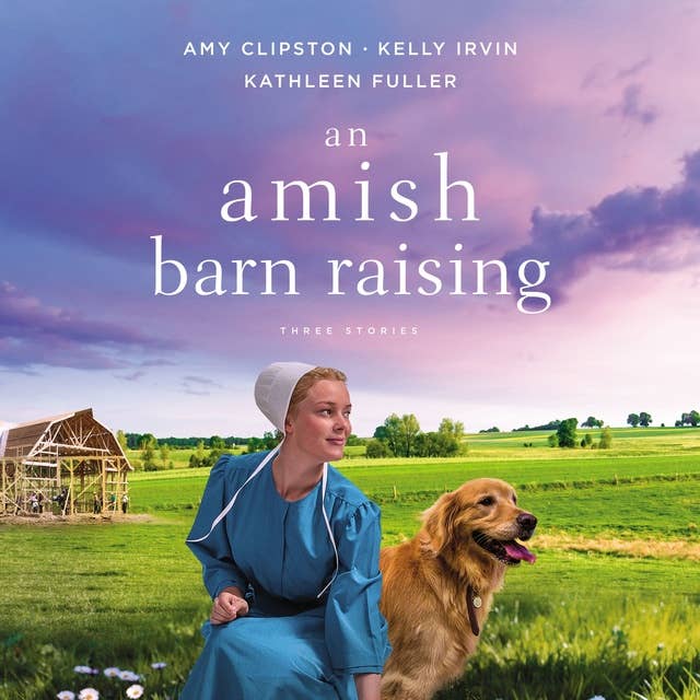Cover for An Amish Barn Raising: Three Stories