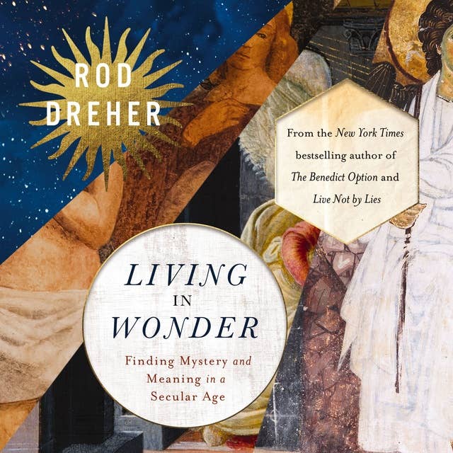 Living in Wonder: Finding Mystery and Meaning in a Secular Age