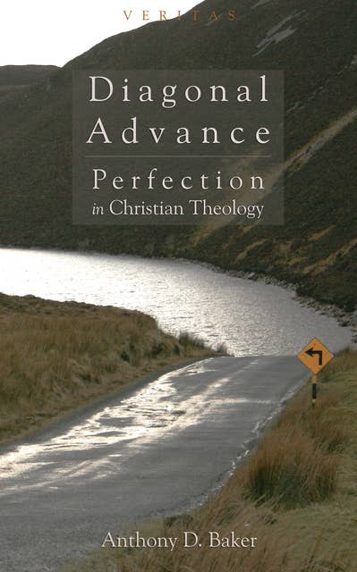 Diagonal Advance: Perfection in Christian Theology