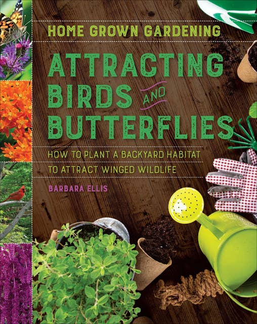 Attracting Birds and Butterflies: How to Plant a Backyard Habitat to Attract Winged Life