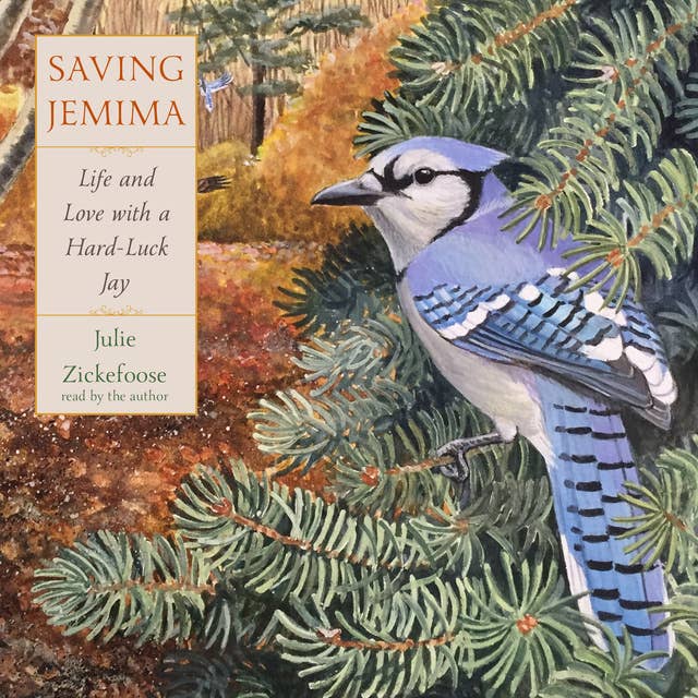 Saving Jemima: Life and Love with a Hard-Luck Jay
