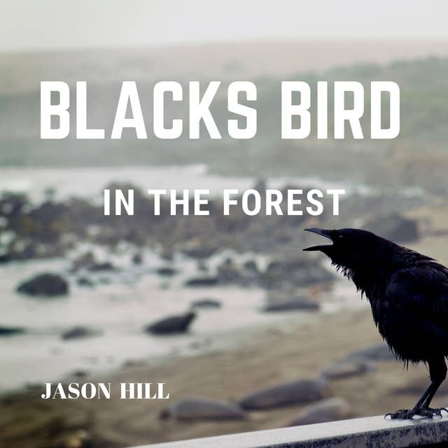 Black Bird in the Forest