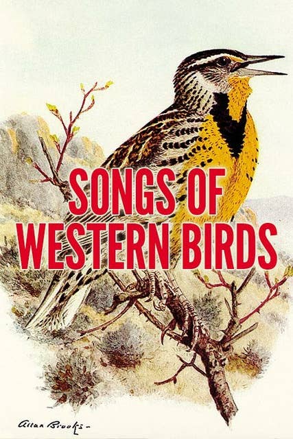 Songs of Western Birds