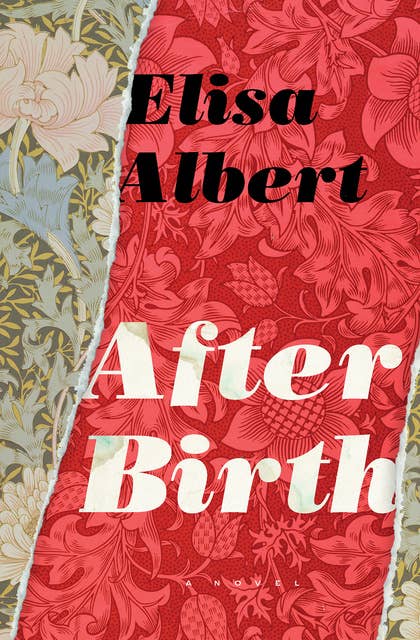 After Birth: A Novel