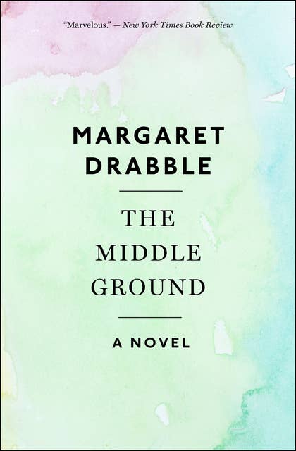 The Middle Ground: A Novel