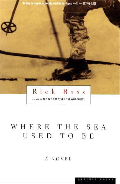 Where The Sea Used To Be: A Novel