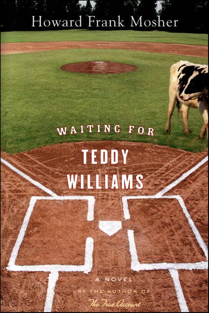 Waiting For Teddy Williams: A Novel
