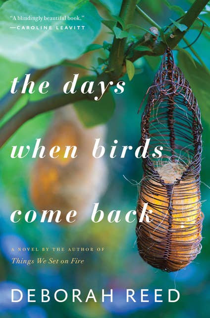 The Days When Birds Come Back: A Novel