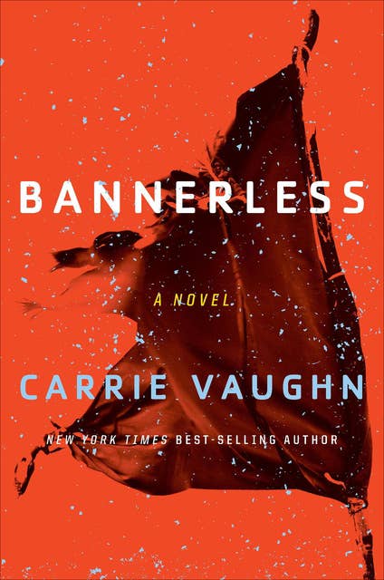 Bannerless: A Novel
